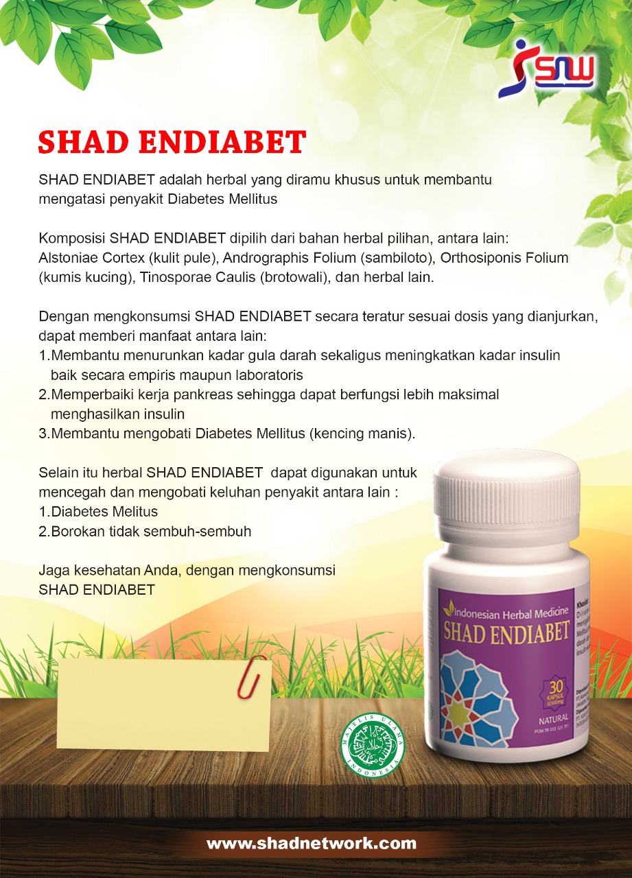 brosur shad endiabet